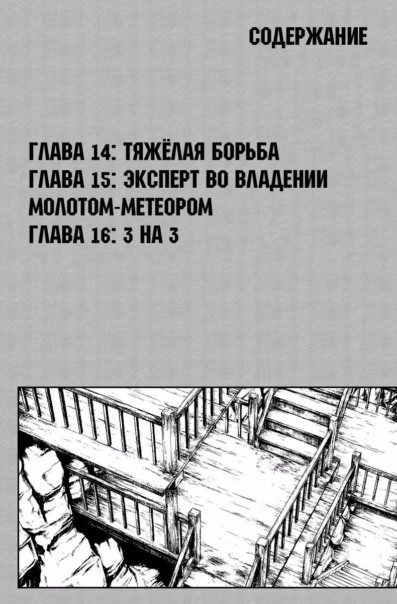 Легенда о Тинми — Том 4 · Глава 14, страница 2