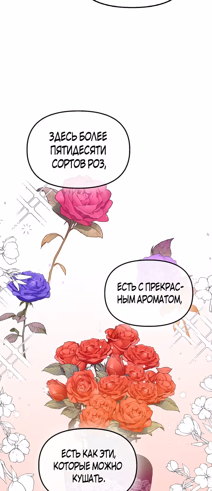 Маска императора — Том 1 · Глава 19, страница 32