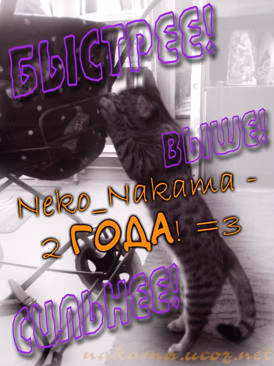 Харелуя — Том 1 · Глава 4, страница 2