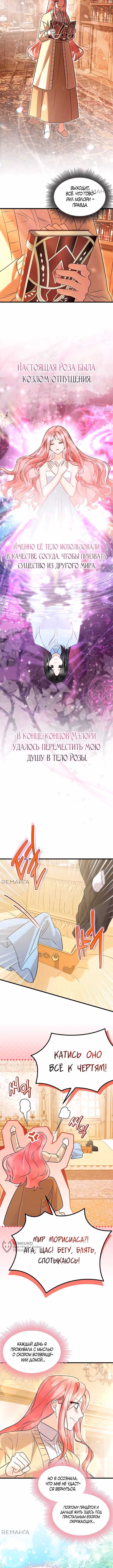 Я стала горничной тирана — Том 2 · Глава 71, страница 9