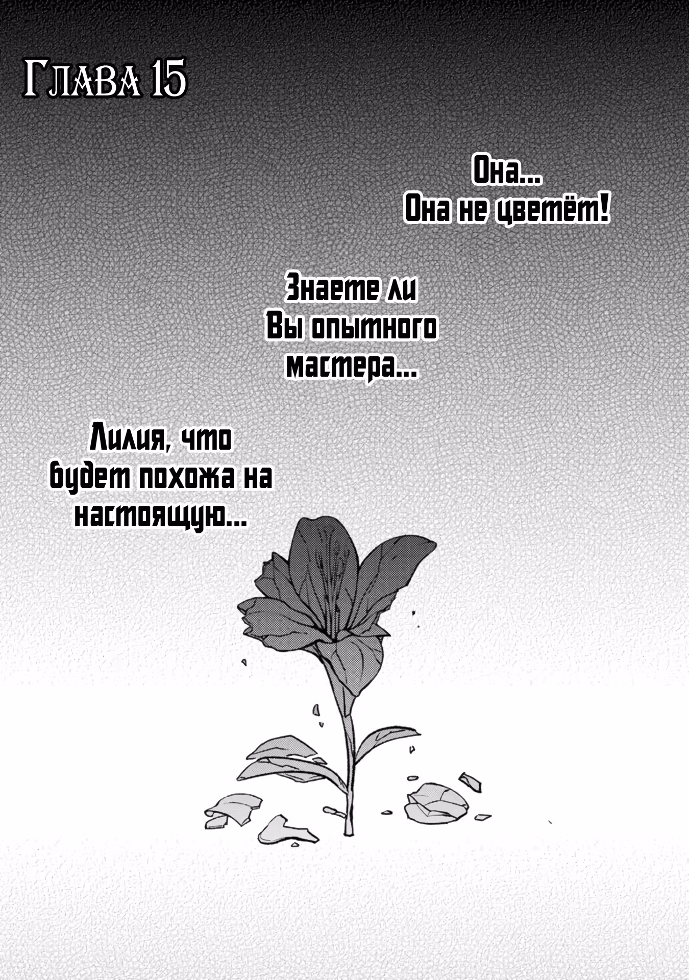 Мой жених расторг помолвку, потому что меня заклеймили как фальшивую святую, но я обрела счастье с наследным принцем. — Том 3 · Глава 15.1, страница 1