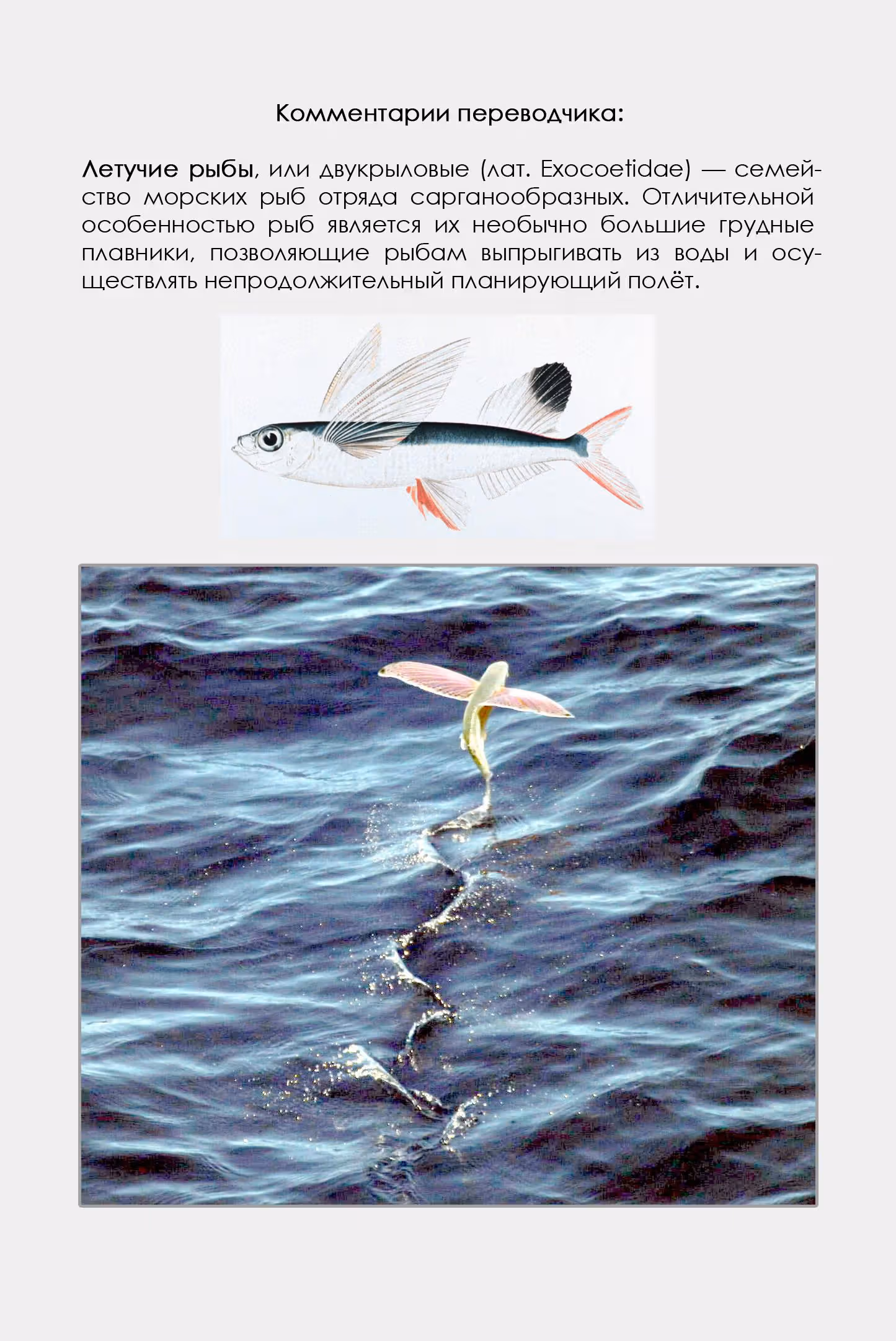 Каб Исаки — Том 4 · Глава 24, страница 23