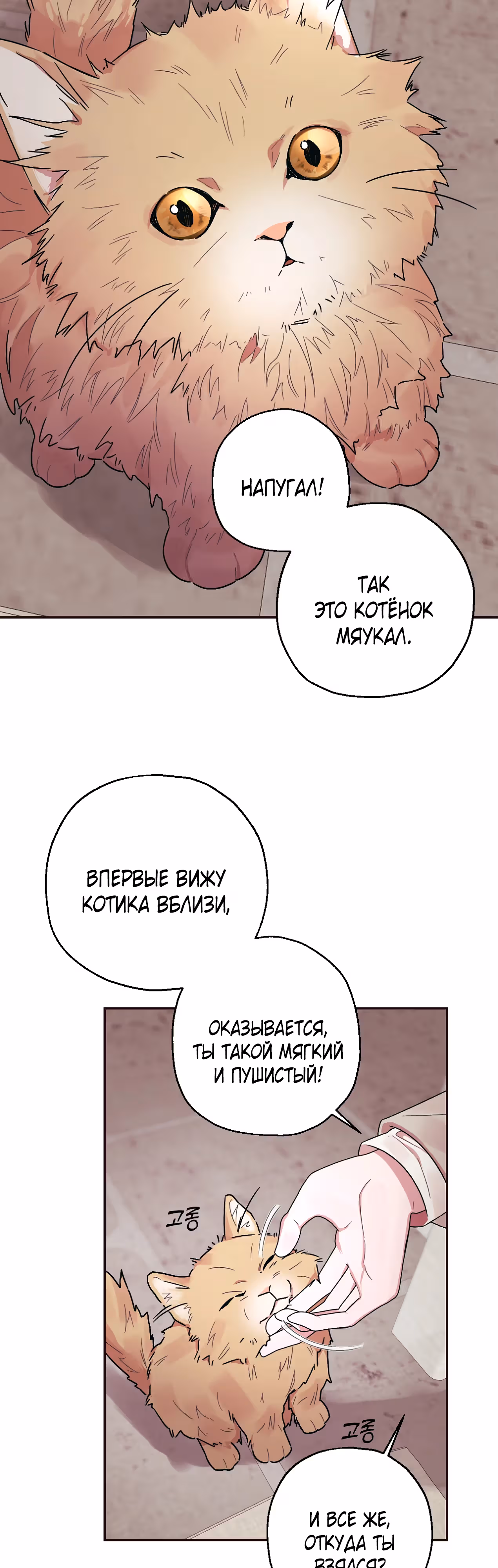 Дом слепой овечки — Том 1 · Глава 13, страница 6