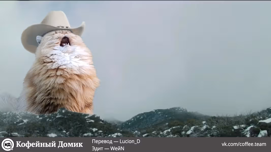 Пять невест — Том 13 · Глава 114, страница 20