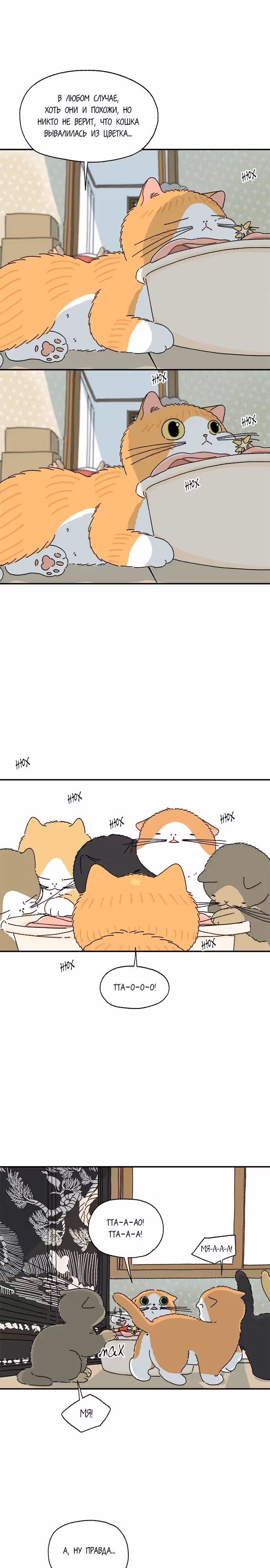 Кошка Тата — Том 1 · Глава 5, страница 2