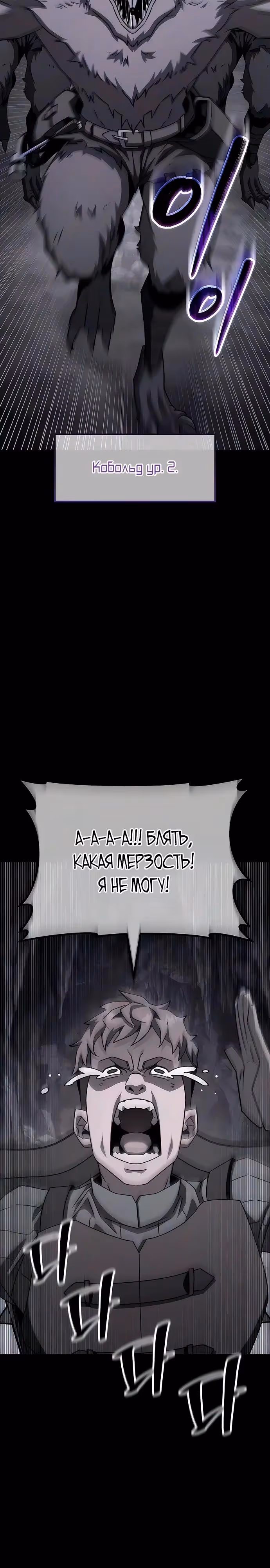 Месть гоблина — Том 1 · Глава 9, страница 4