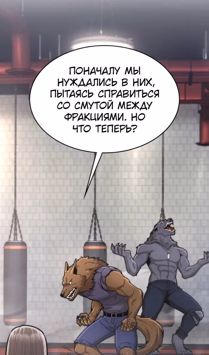 Маг-параноик — Том 1 · Глава 64, страница 101