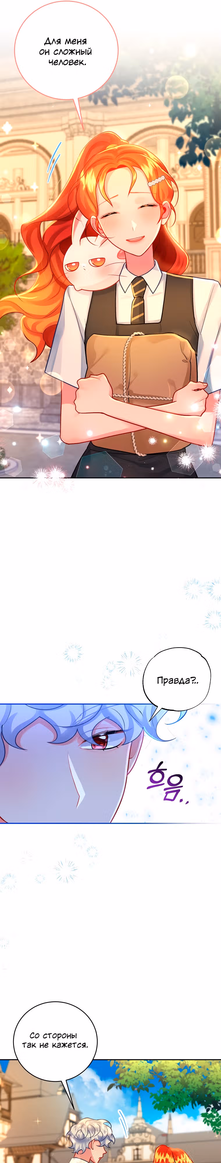 Путеводитель элитной леди — Том 1 · Глава 26, страница 17