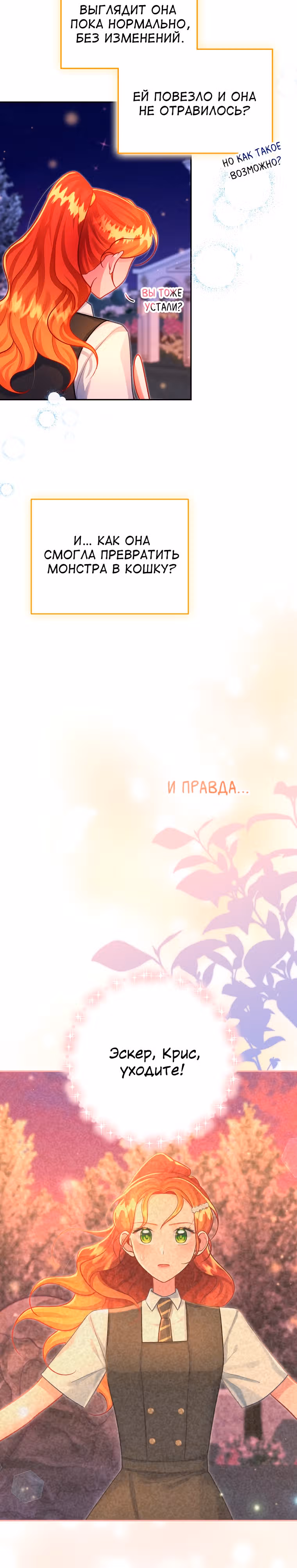 Путеводитель элитной леди — Том 1 · Глава 31, страница 15