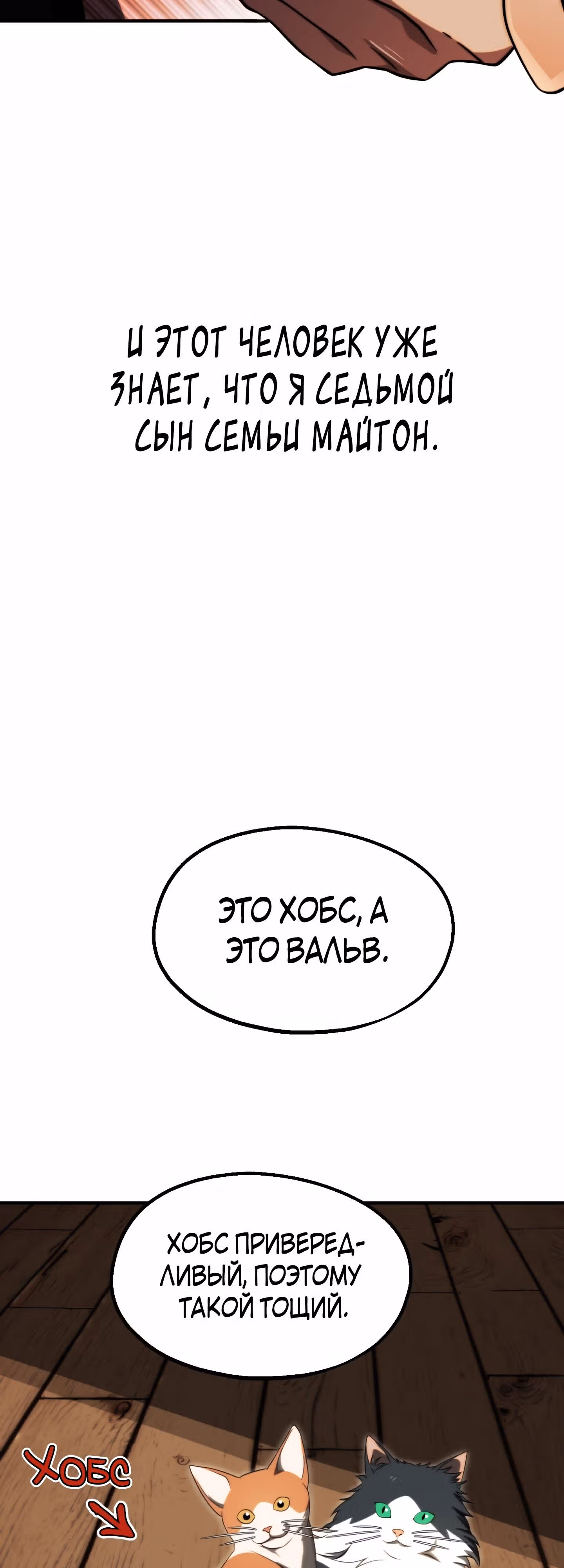 Младший сын мага — Том 2 · Глава 51, страница 19