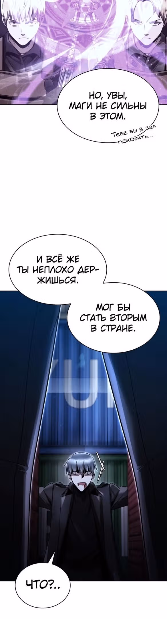 Регрессия Охотника SSS-Класс с Другой профессией — Том 2 · Глава 54, страница 51