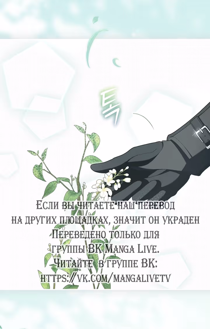 Мужские персонажи были украдены статисткой — Том 2 · Глава 88, страница 3