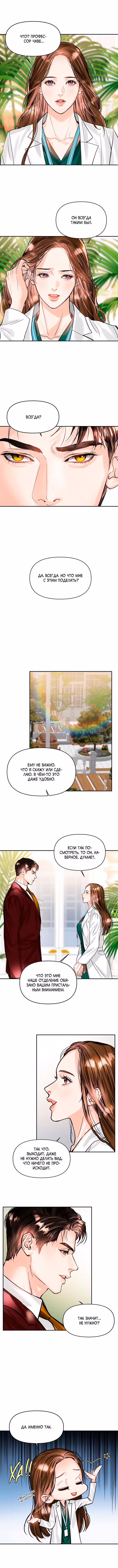 Львиное сердце — Том 1 · Глава 22, страница 6