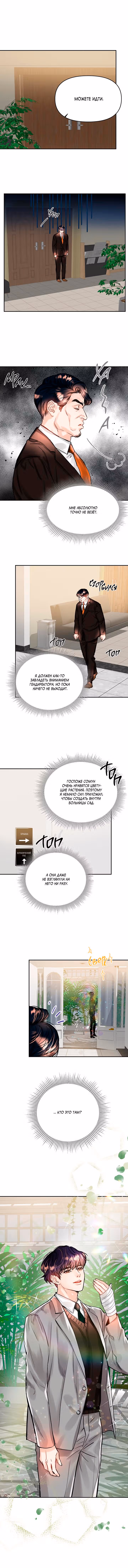 Львиное сердце — Том 1 · Глава 34, страница 2