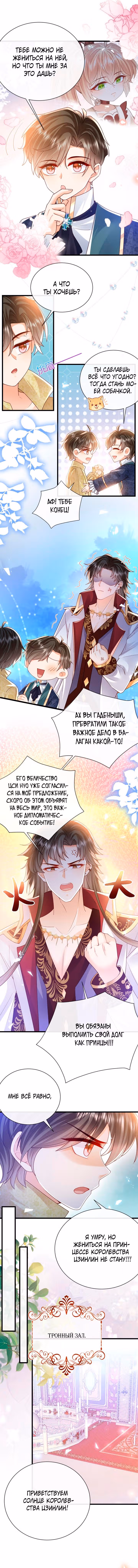 Говорят, что я сказочная принцесса — Том 1 · Глава 39, страница 3