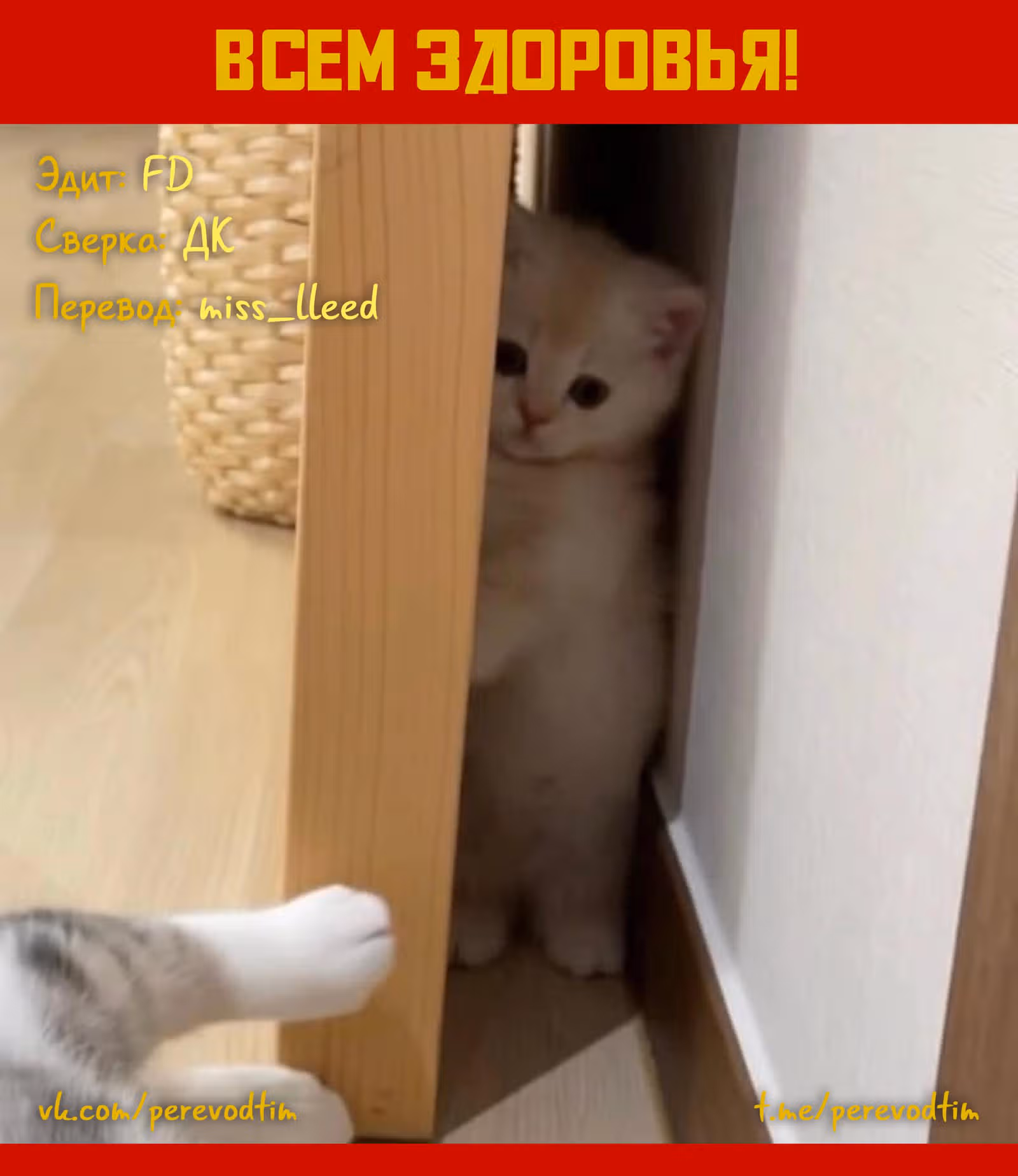 Великий из Бродячих псов: Гав! — Том 1 · Глава 5, страница 13