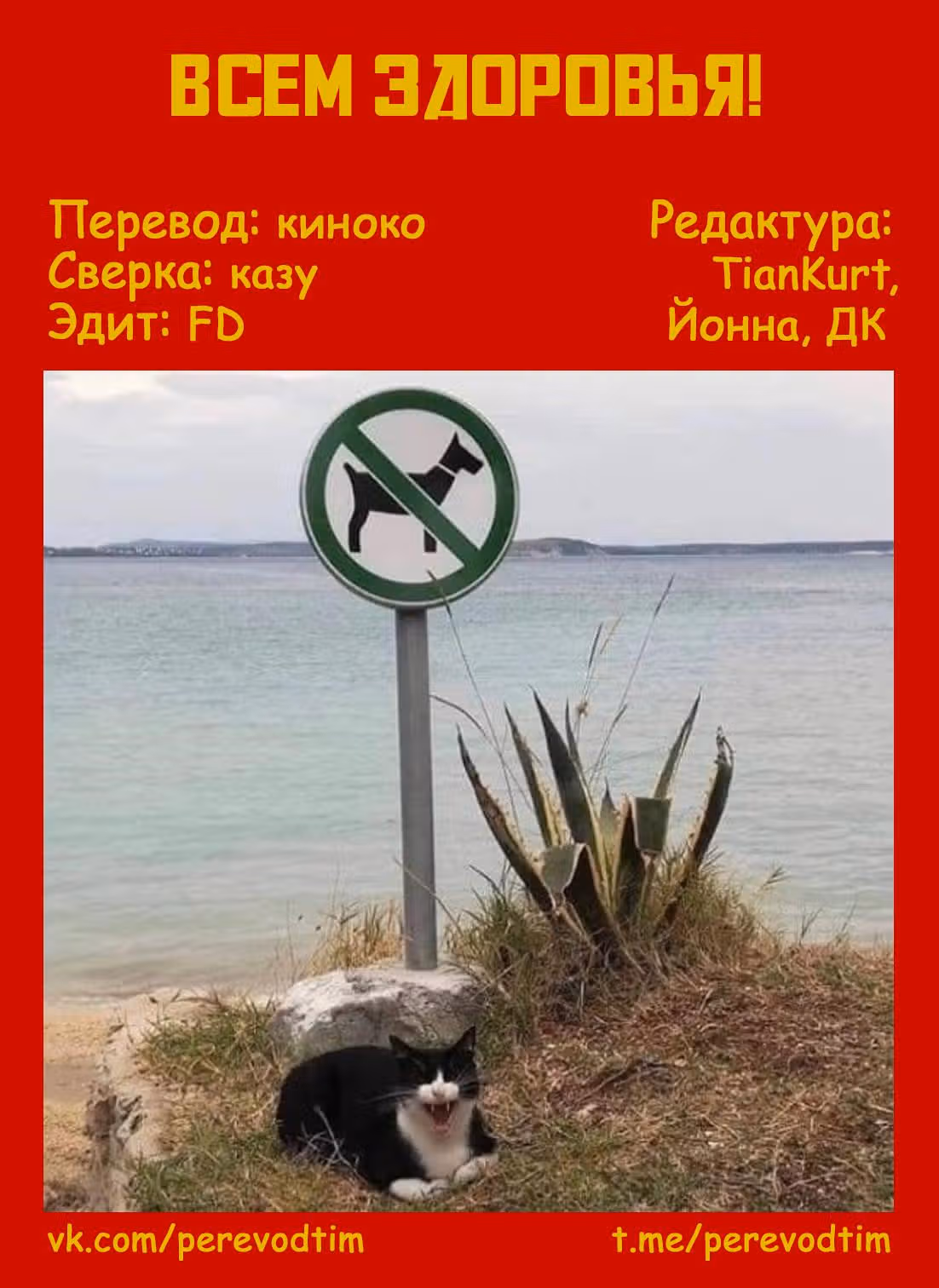 Великий из Бродячих псов: Гав! — Том 2 · Глава 22, страница 12
