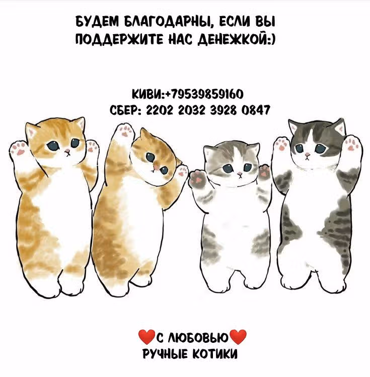Избалованная братьями, я стала неуправляемой — Том 1 · Глава 3, страница 10