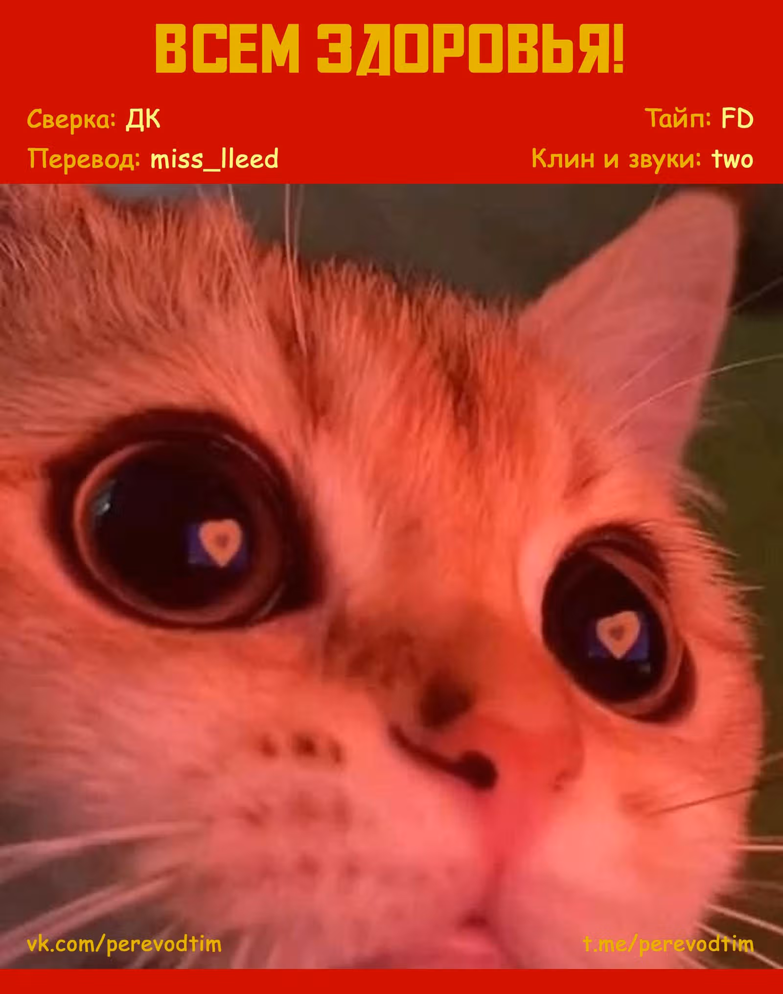 Великий из Бродячих псов: Гав! — Том 4 · Глава 57, страница 8