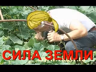 Малышка-наложница хочет жить спокойно — Том 1 · Глава 44, страница 12