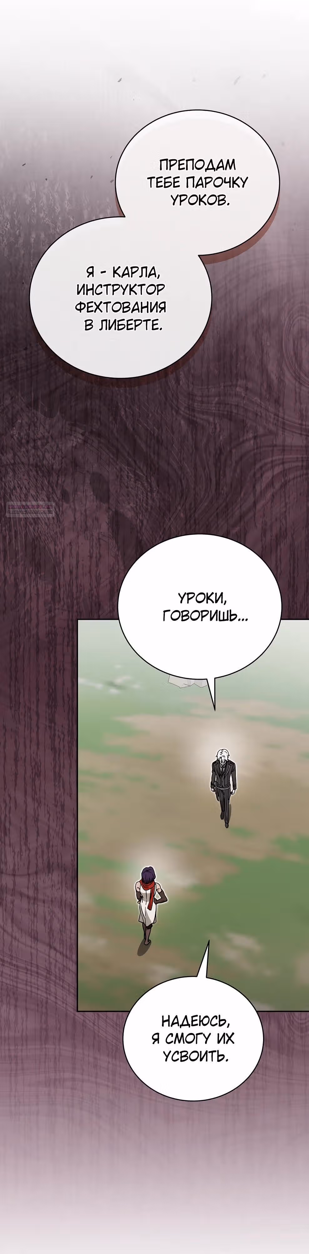 Гениальный маг — Том 1 · Глава 50, страница 30