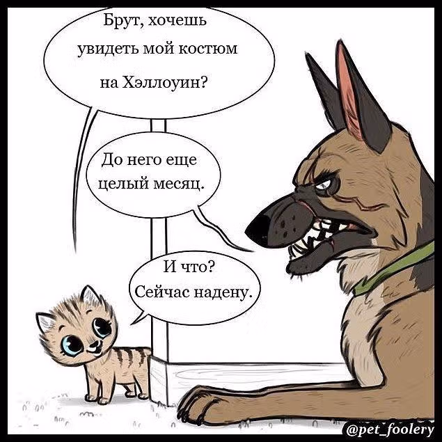 Брут и Пикси — Том 1 · Глава 2, страница 1