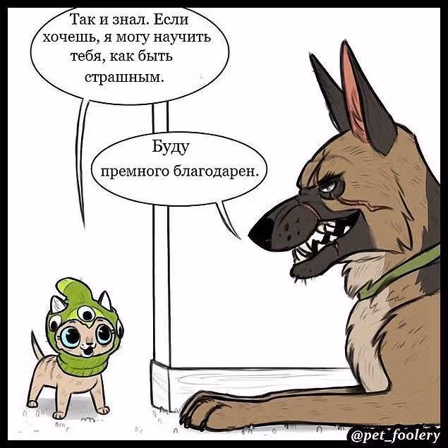 Брут и Пикси — Том 1 · Глава 2, страница 7