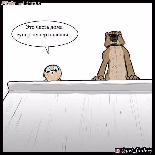 Брут и Пикси — Том 1 · Глава 3, страница 2