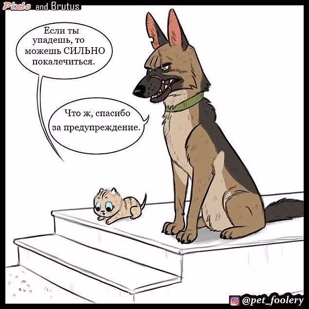 Брут и Пикси — Том 1 · Глава 3, страница 3