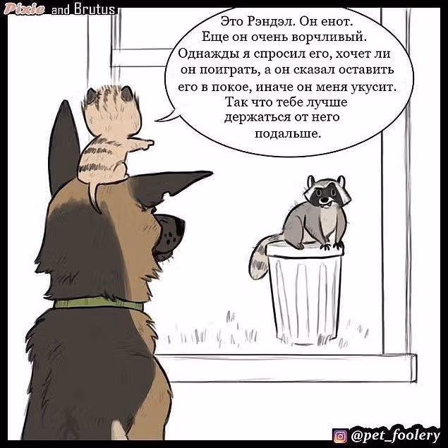 Брут и Пикси — Том 1 · Глава 3, страница 4