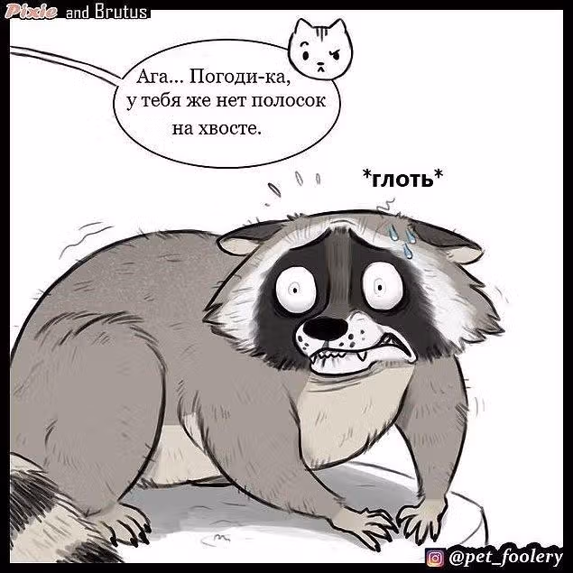 Брут и Пикси — Том 1 · Глава 3, страница 6