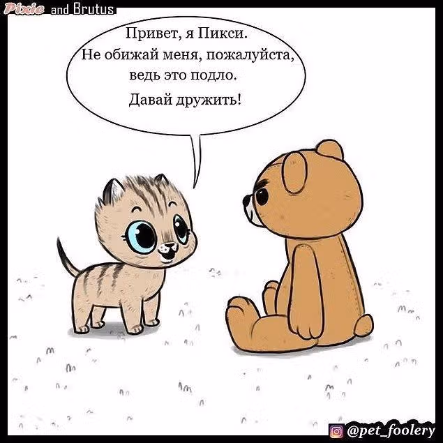 Брут и Пикси — Том 1 · Глава 4, страница 3