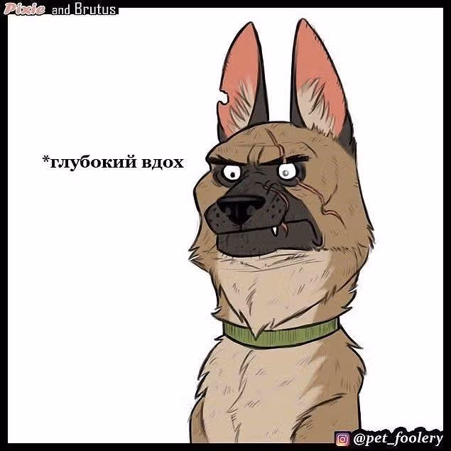 Брут и Пикси — Том 1 · Глава 4, страница 8