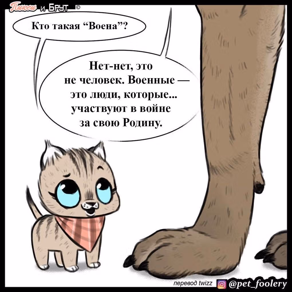 Брут и Пикси — Том 1 · Глава 7, страница 2