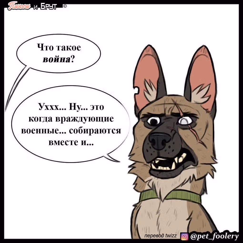 Брут и Пикси — Том 1 · Глава 7, страница 3