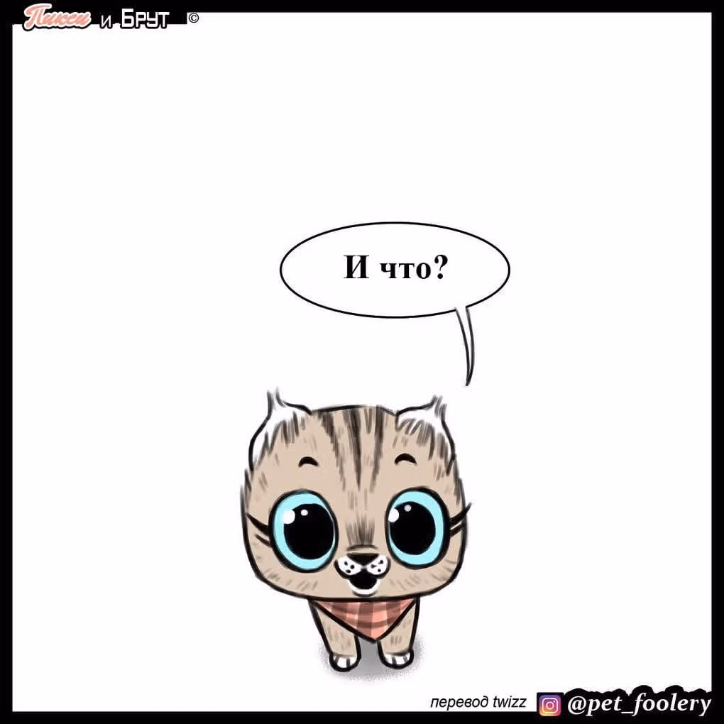 Брут и Пикси — Том 1 · Глава 7, страница 5