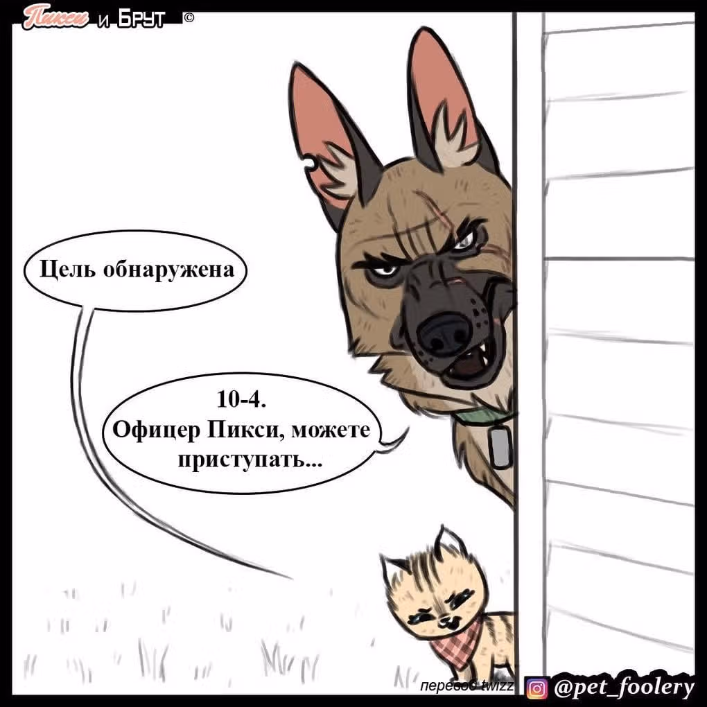 Брут и Пикси — Том 1 · Глава 8, страница 1