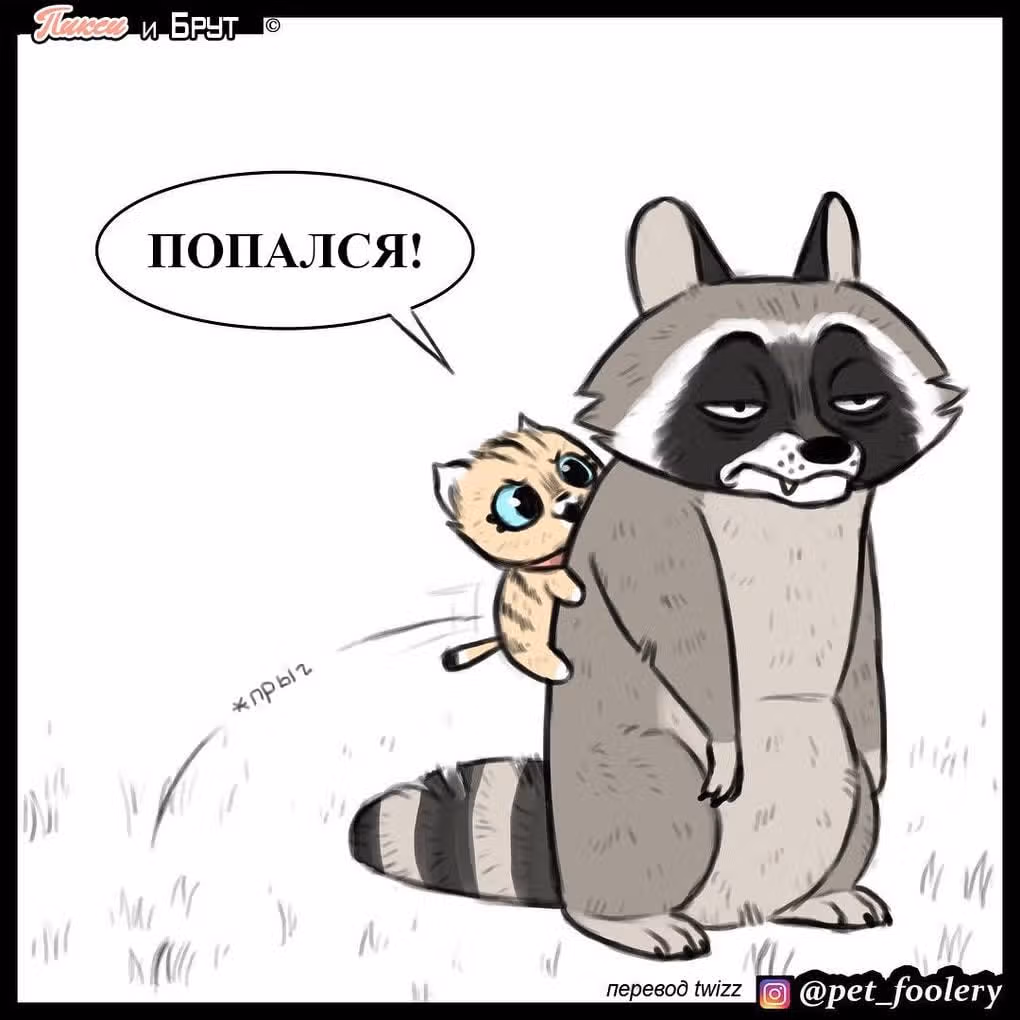 Брут и Пикси — Том 1 · Глава 8, страница 3