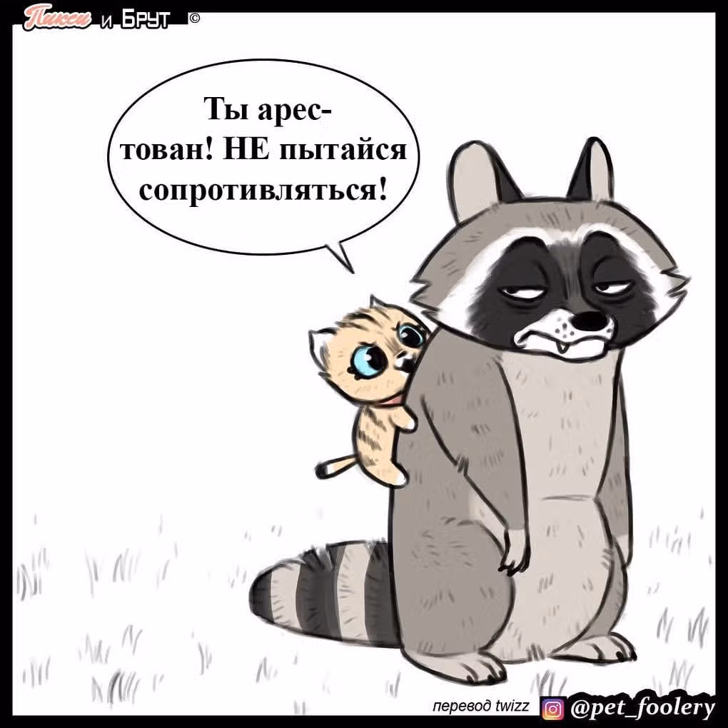 Брут и Пикси — Том 1 · Глава 8, страница 4