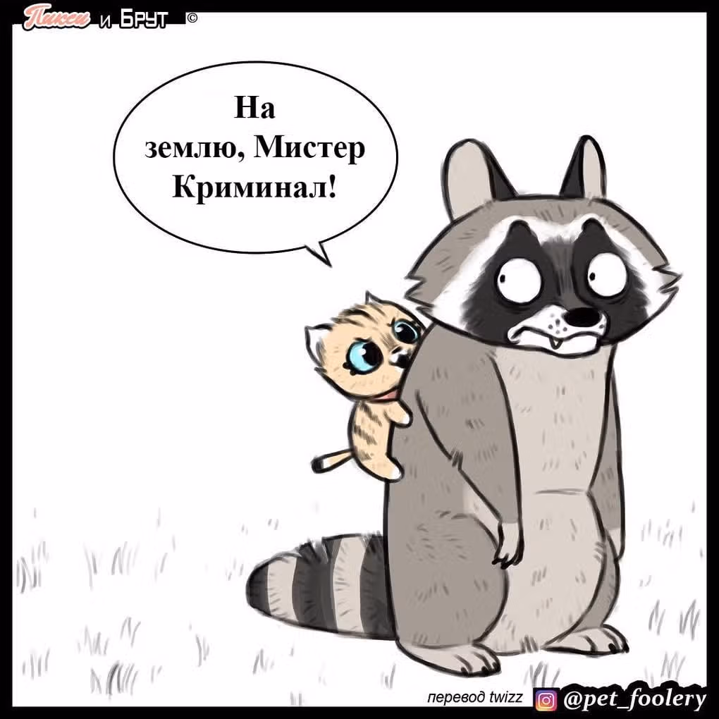 Брут и Пикси — Том 1 · Глава 8, страница 6