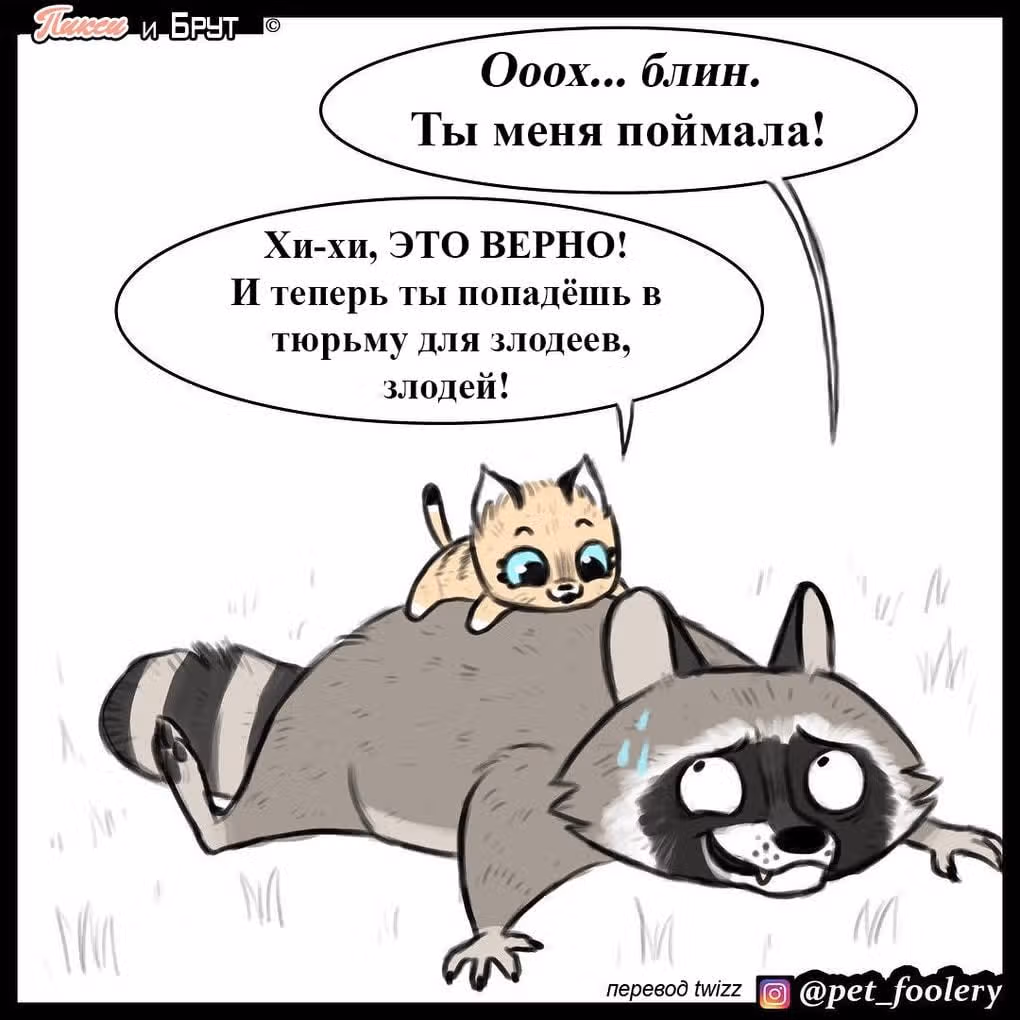 Брут и Пикси — Том 1 · Глава 8, страница 7