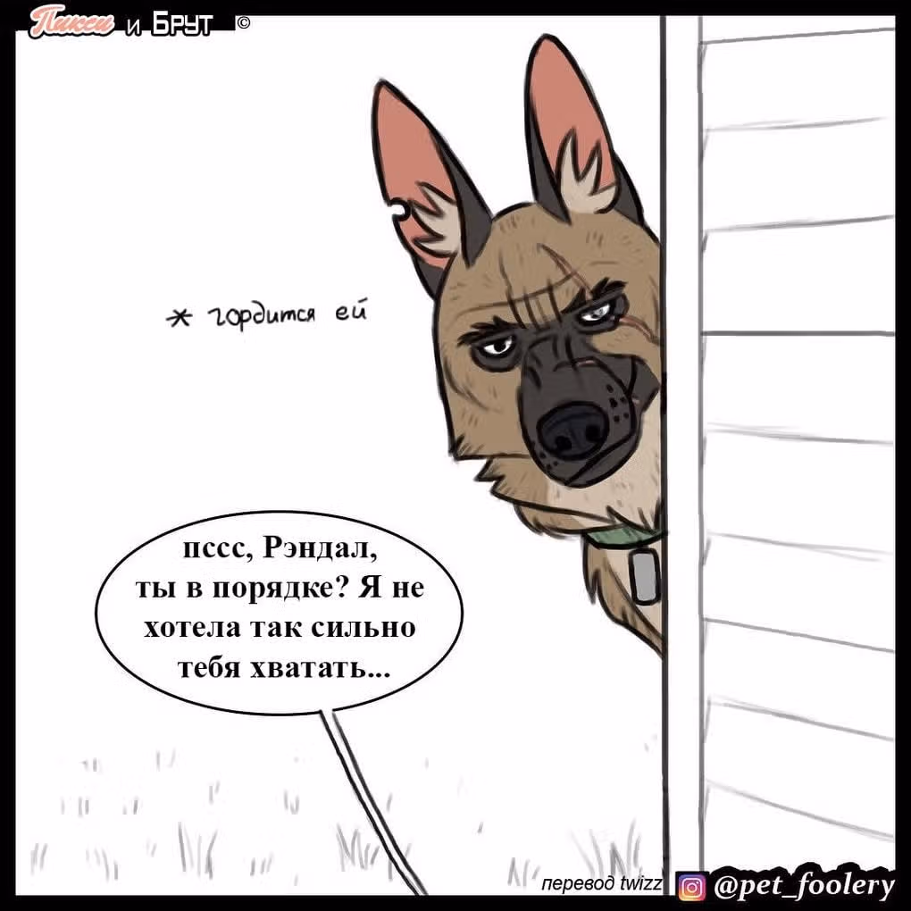 Брут и Пикси — Том 1 · Глава 8, страница 8