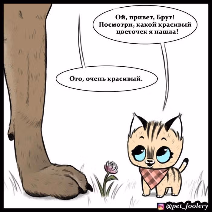 Брут и Пикси — Том 1 · Глава 11, страница 4