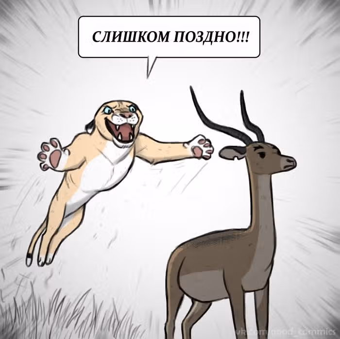 Брут и Пикси — Том 1 · Глава 12, страница 3