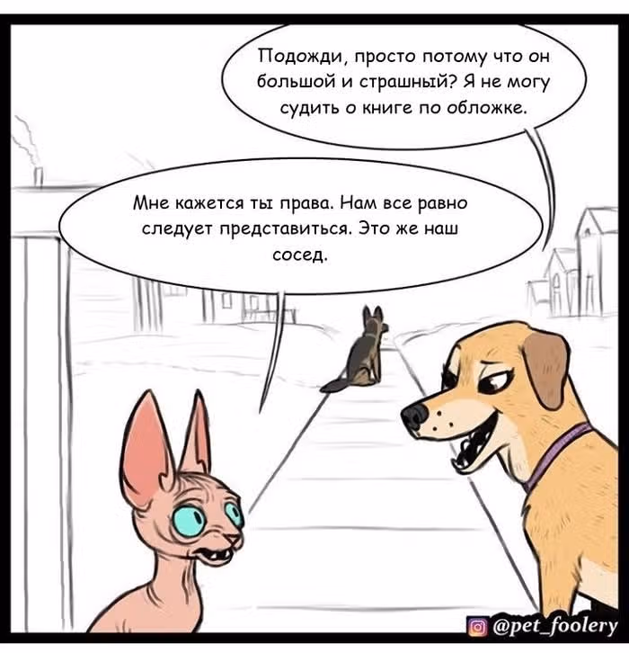 Брут и Пикси — Том 1 · Глава 13, страница 2