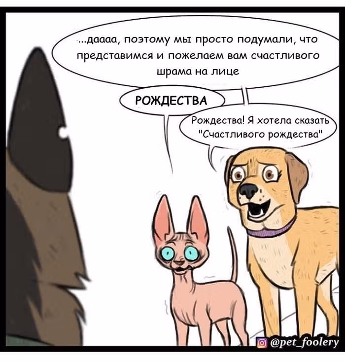 Брут и Пикси — Том 1 · Глава 13, страница 6