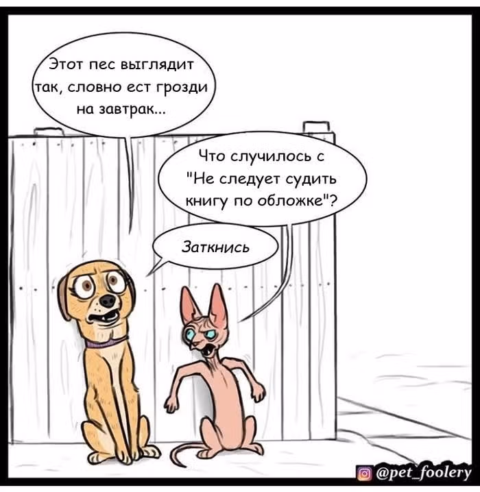 Брут и Пикси — Том 1 · Глава 13, страница 8