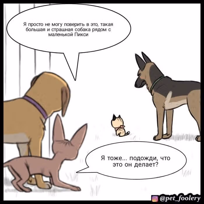Брут и Пикси — Том 1 · Глава 14, страница 1
