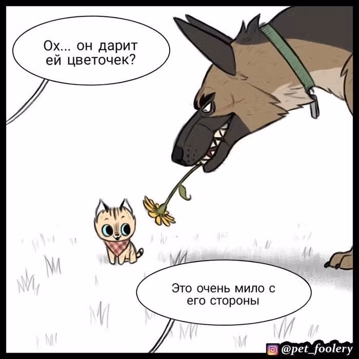 Брут и Пикси — Том 1 · Глава 14, страница 2