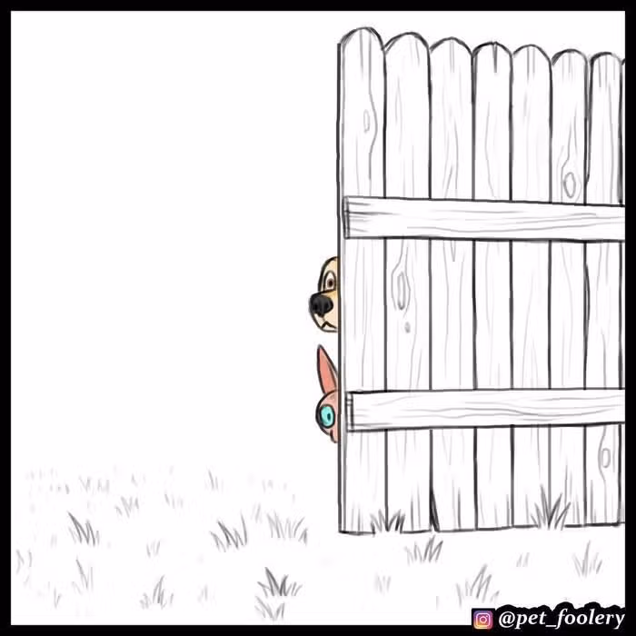 Брут и Пикси — Том 1 · Глава 14, страница 5